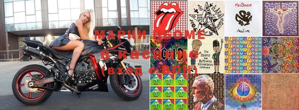 дживик Каменногорск